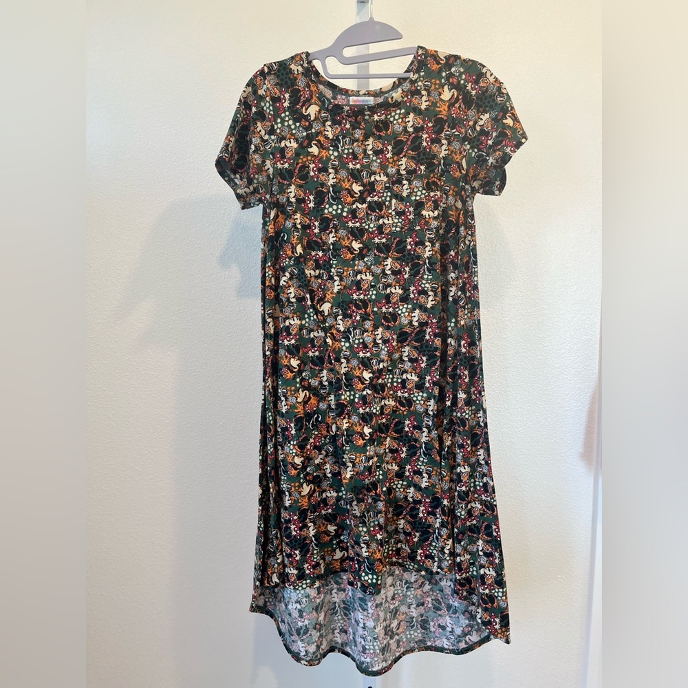LuLaRoe Disney Carly Dress